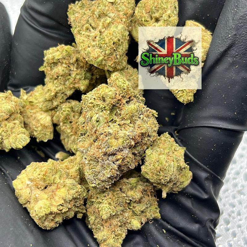 🇺🇸 Death Star