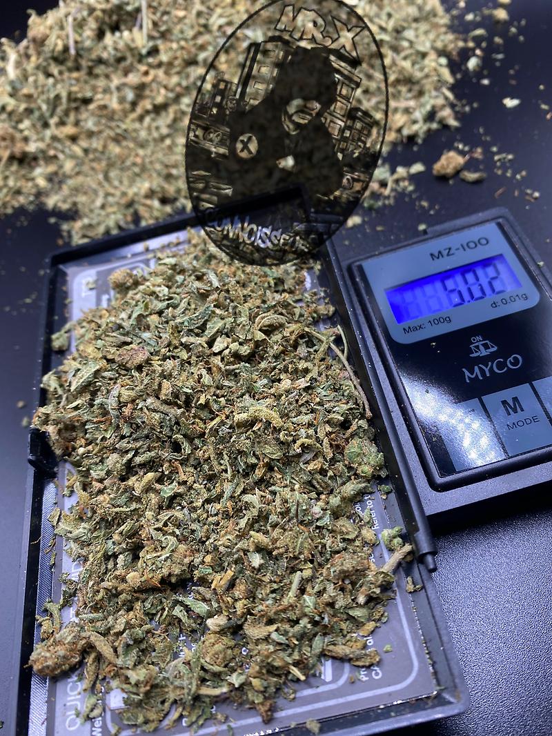 ***DUSTSHAKE 2021***FREE 1st CLASS RM DELIVERY***