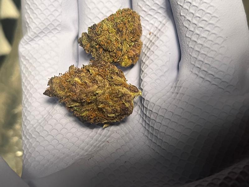 Purple Crush