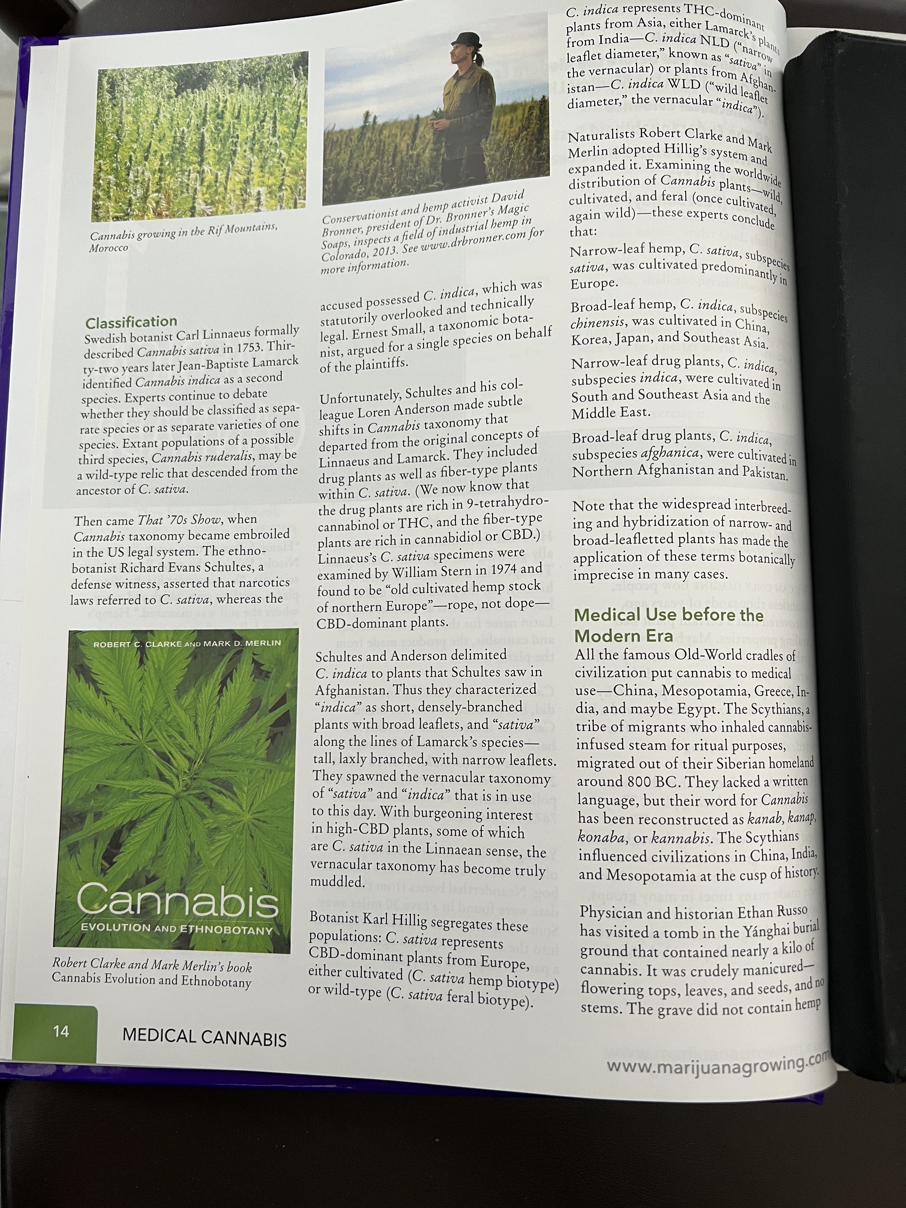 The Cannabis Encyclopaedia by J.C