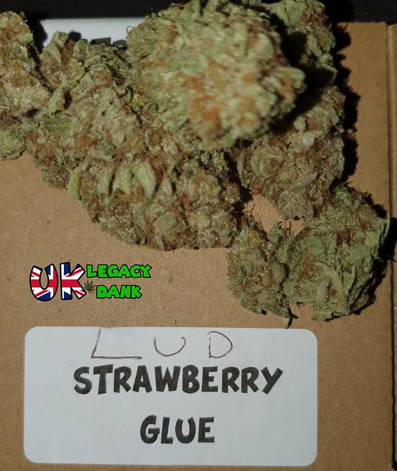 STRAWBERRY GLUE