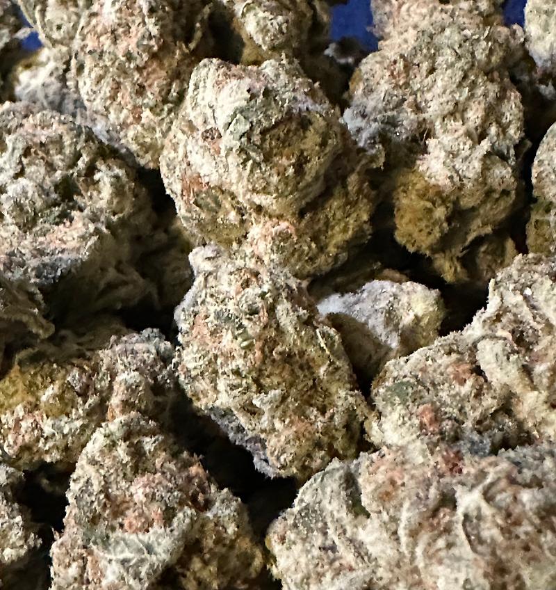 Gary Payton Canadian Import