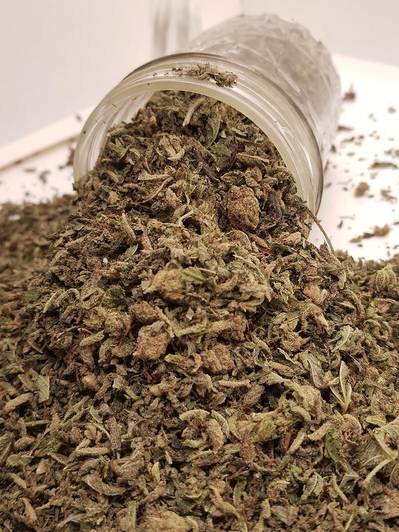 STARDAWG PREMIUM SUGAR SHAKE
