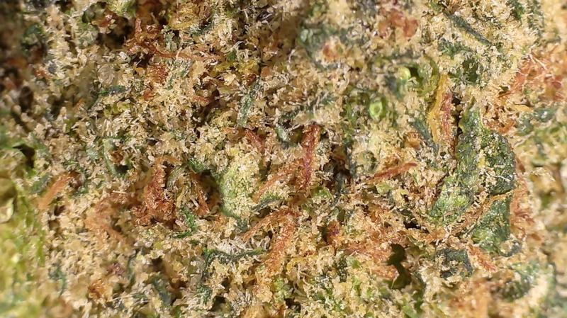 ICE CREAM CAKE - MIDS