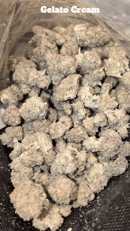 Cali Mids - Loose Import 🇺🇸