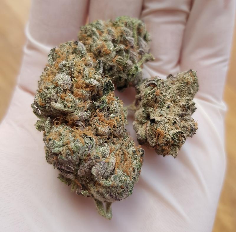 **BLUE GELATO**