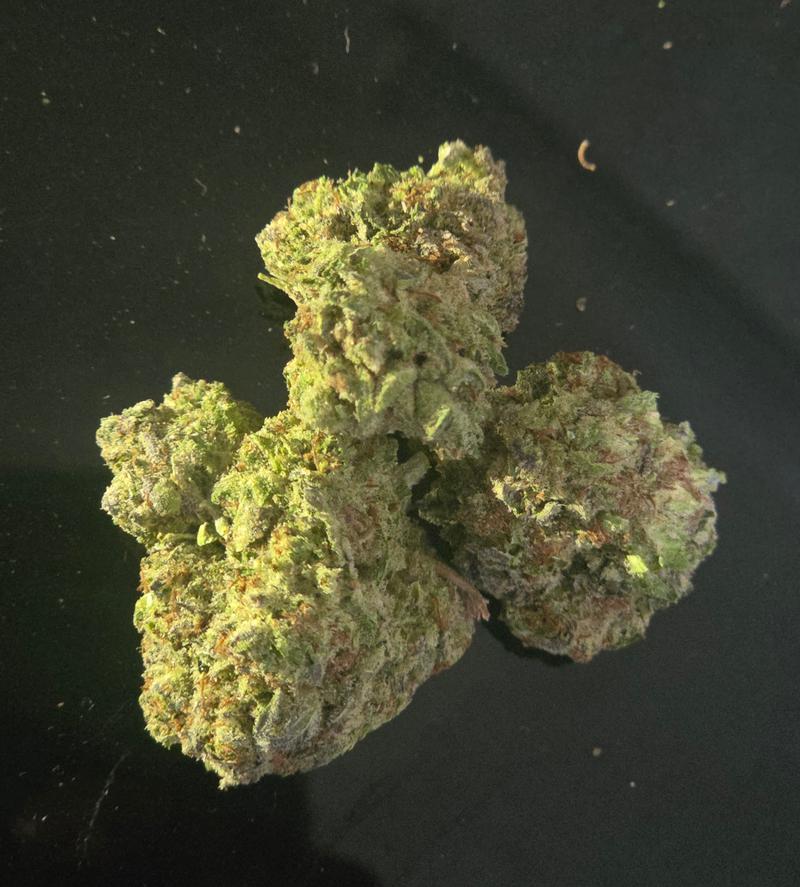 Tropical Nerdz