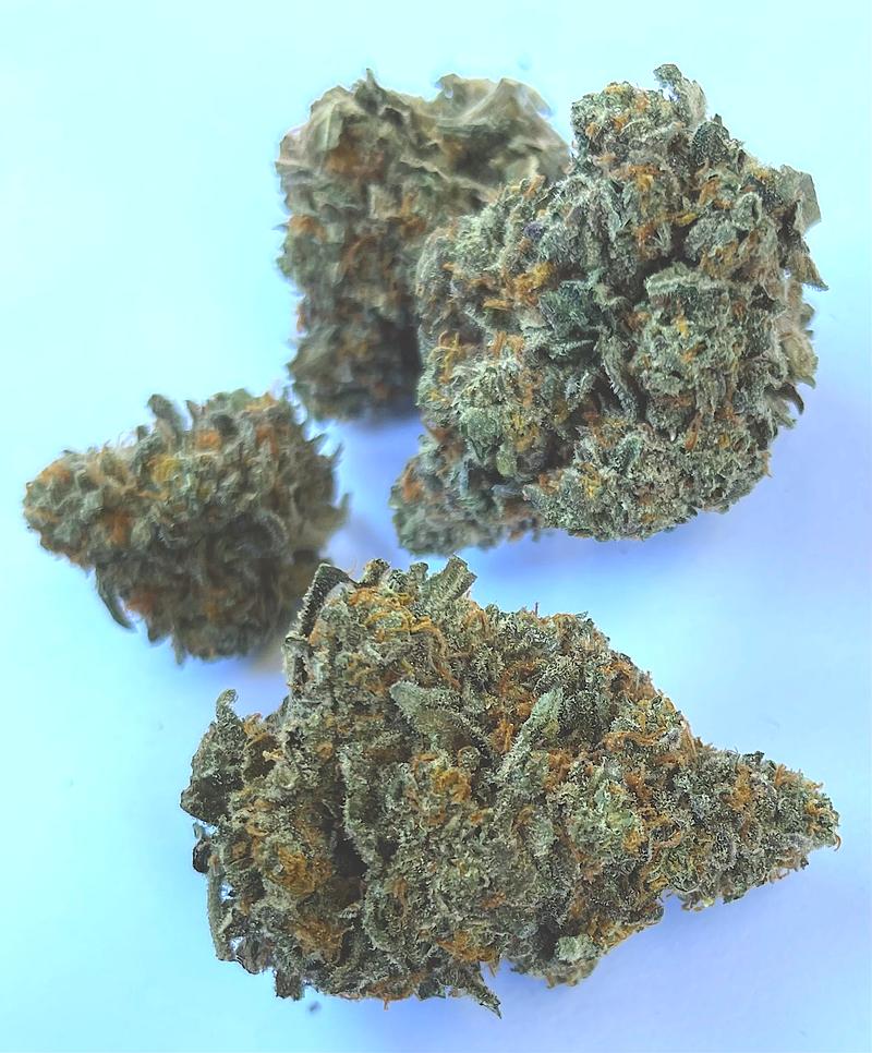 Jet Fuel Gelato x Cookies Bud