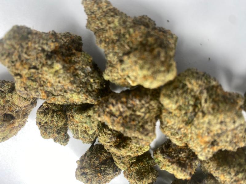 ***BISCOTTI X RUNTZ***