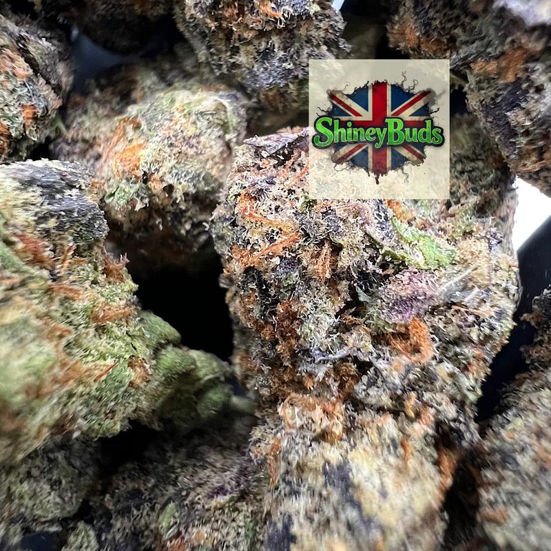 🇺🇸 Lemonatti CONNECTED CANNABIS
