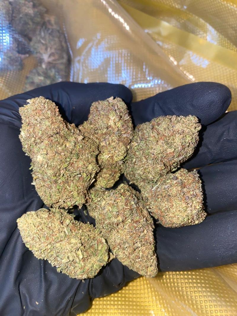Budget Cali