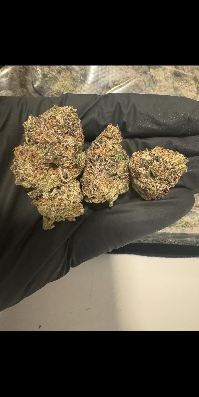 Exclusive Gelato candy