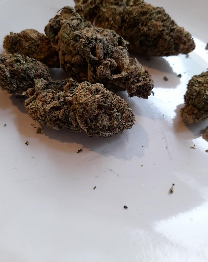 MIMOSA (PORTLAND IMPORT)