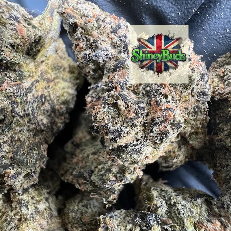 🇺🇸 Berry Bomb