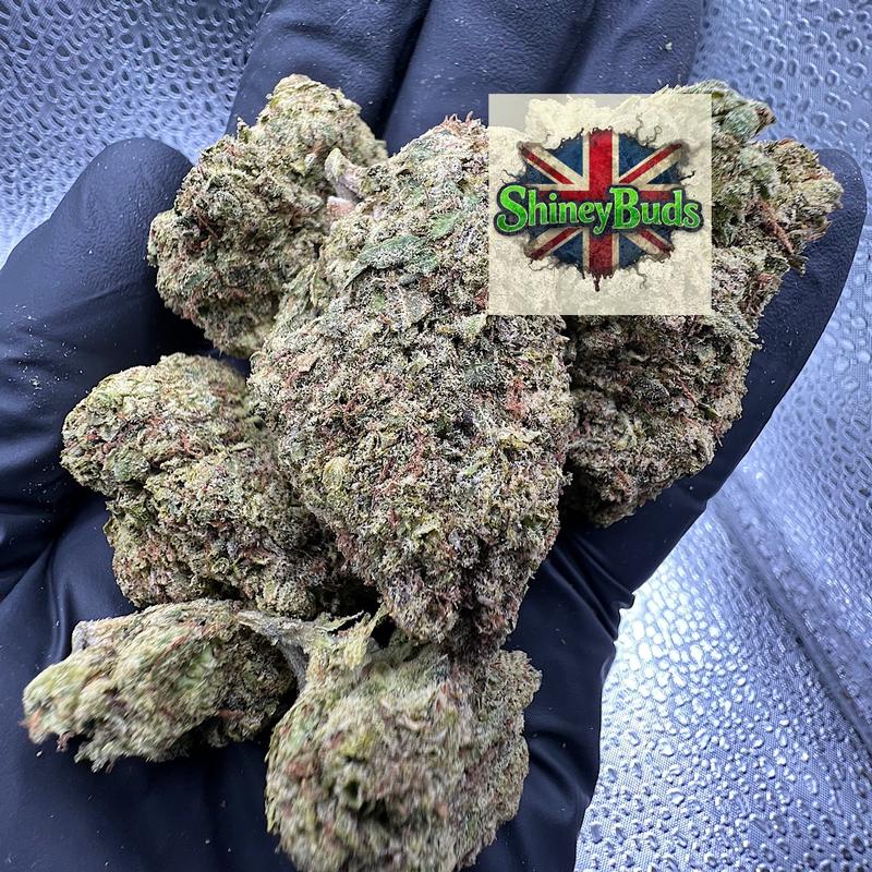 🇺🇸 Butter Peacan (Mids)