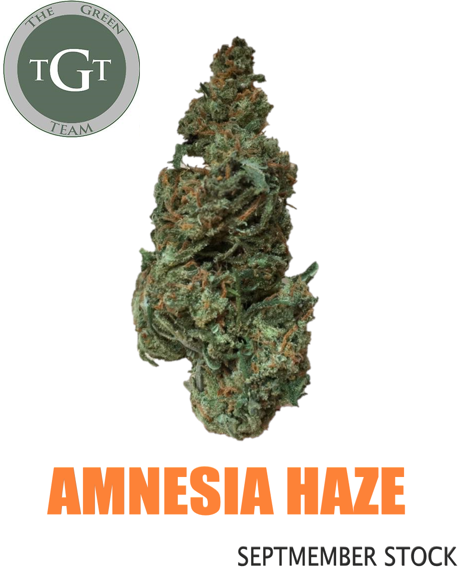 AMNESIA HAZE *SEPTEMBER STOCK*