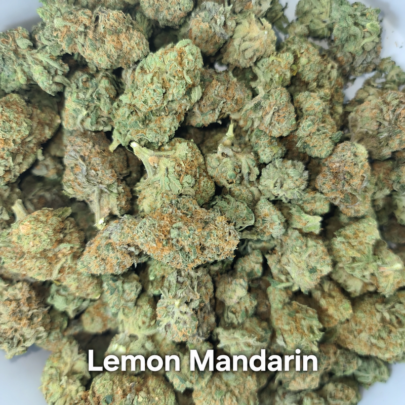 UK BUD'S