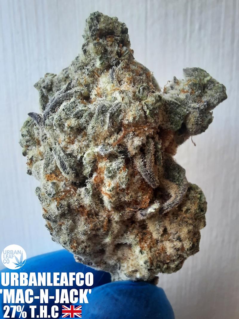 **MAC-N-JACK - (FREE RM 1ST CLASS DISPATCH)**