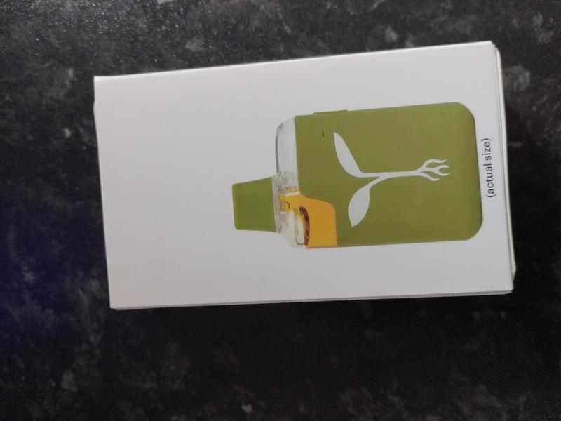 🔥RAW GARDEN ALL IN ONE LIVE RESIN VAPE 🔥