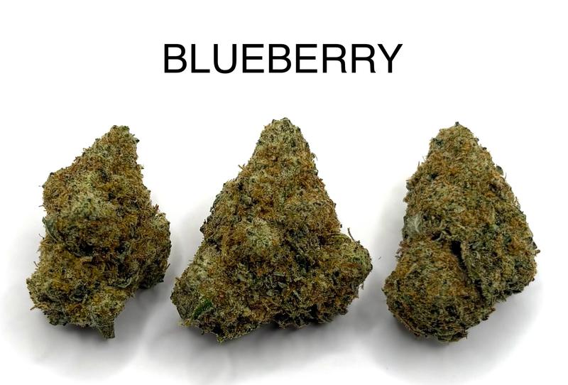 BLUEBERRY