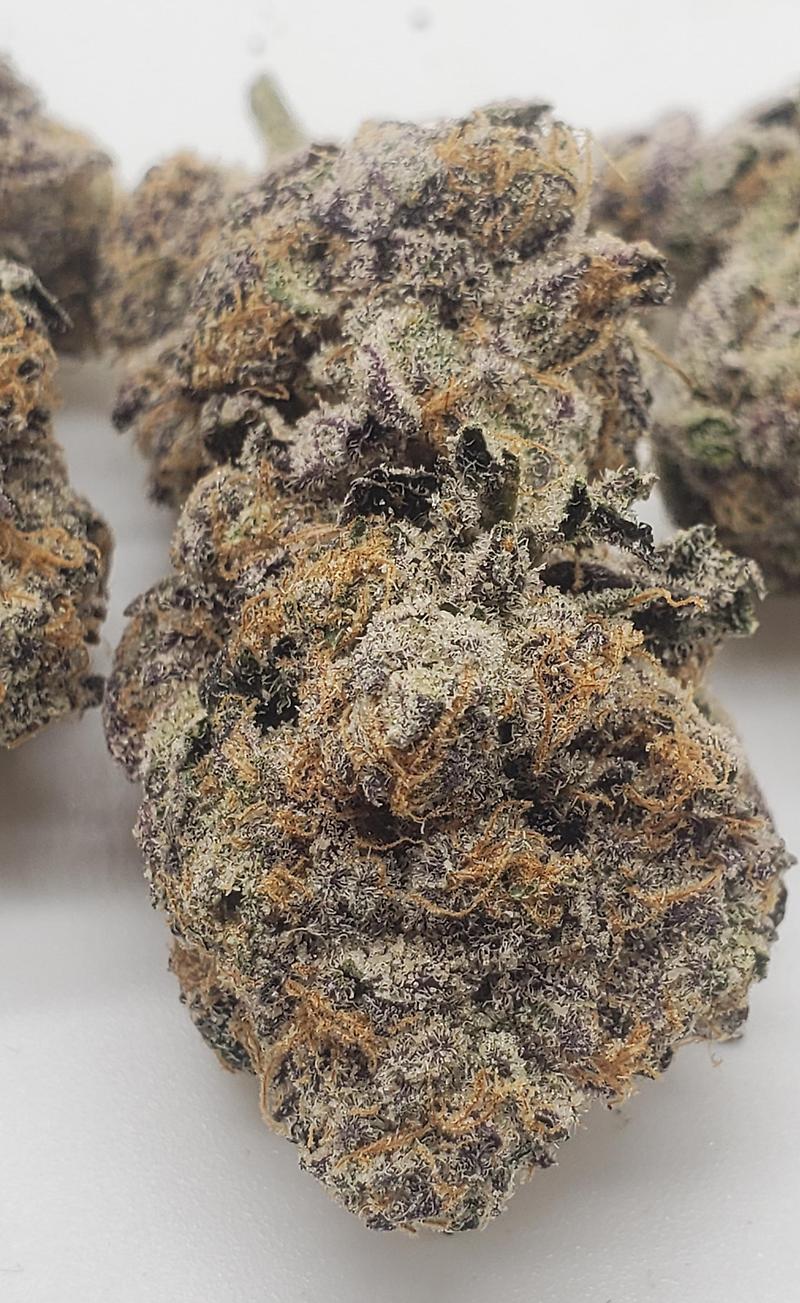 SPEAKER KNOCKERZ #3 (HYBRID)