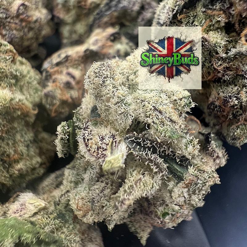 🇬🇧 Bluberry Sherbet
