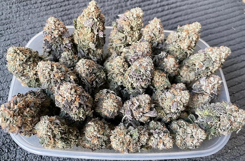 Glacier Glue UK Premium