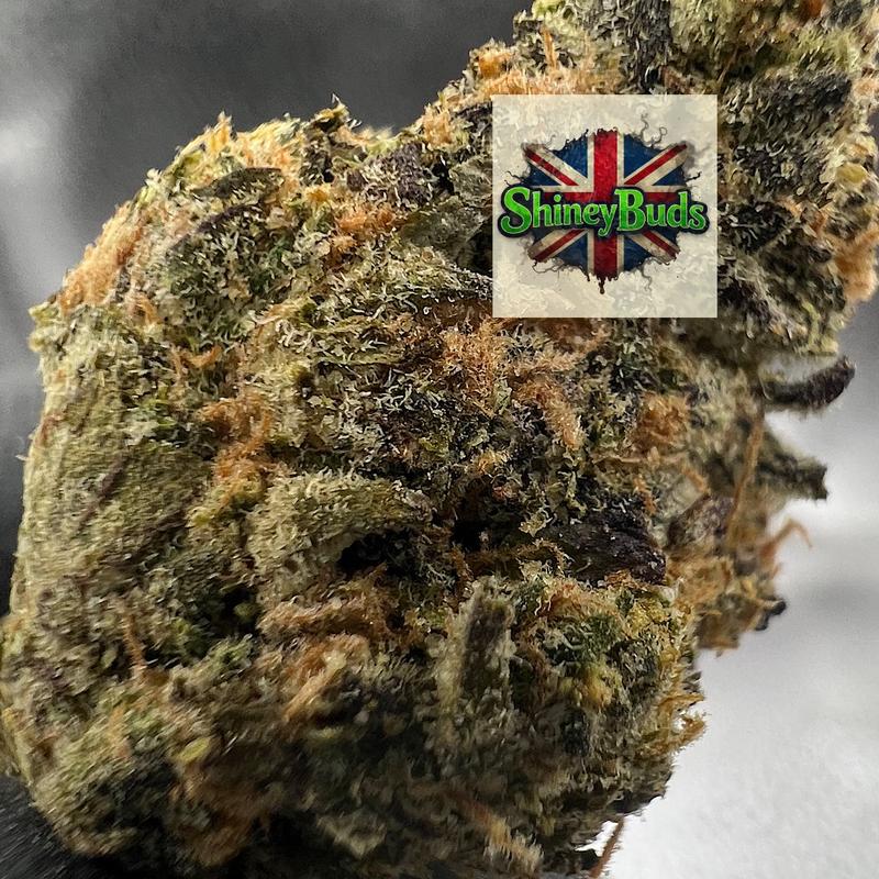 🇺🇸 Brainwash CONNECTED CANNABIS