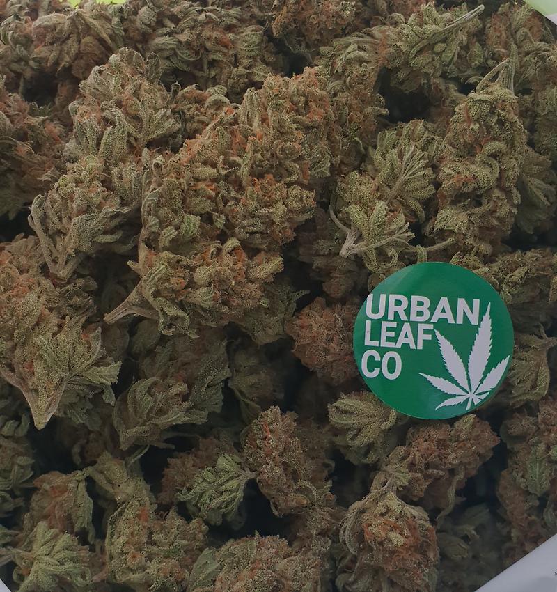 **INDICA/SATIVA VARIETY PACK (FREE RM 1ST CLASS POST)**