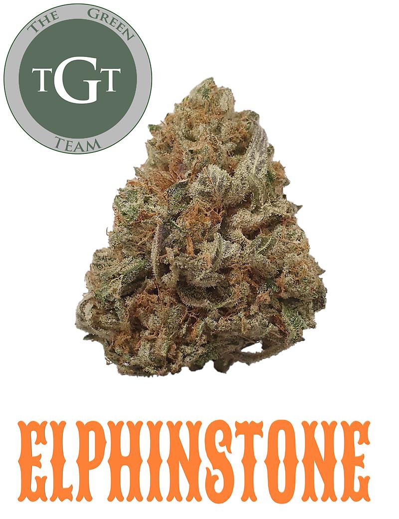 ELPHINSTONE *EXCLUSIVE*