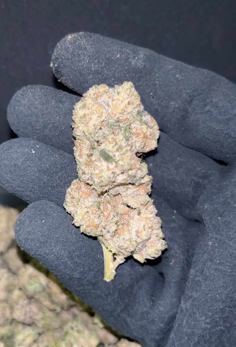 SinMint Cookies