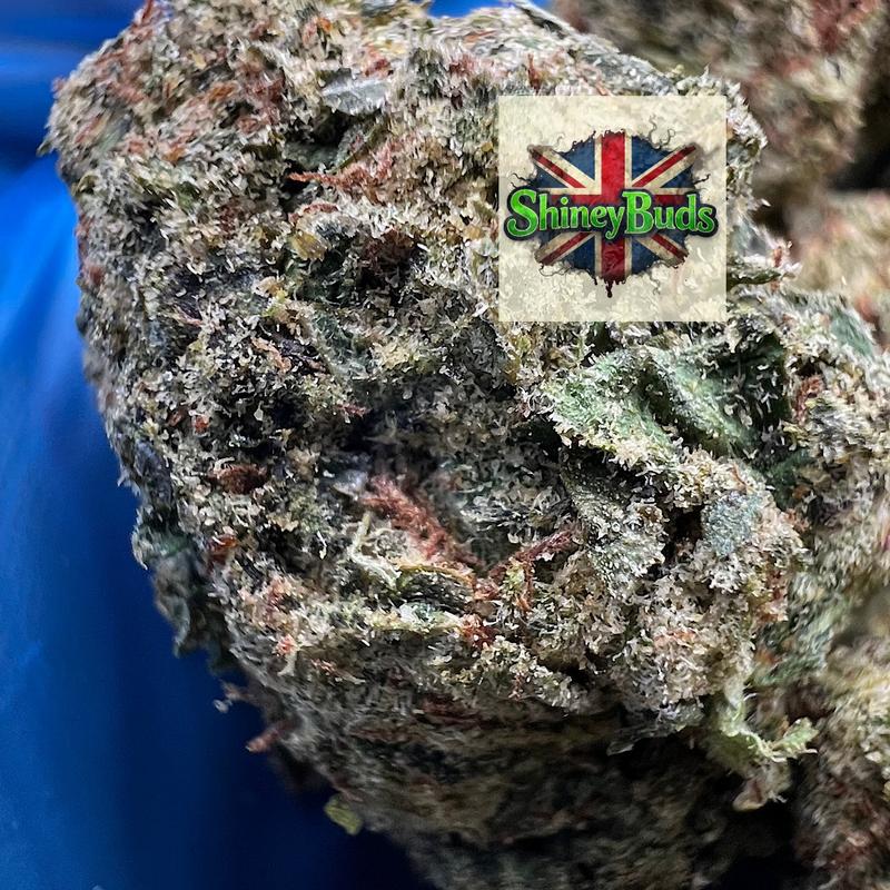 🇺🇸 Cherry Bombz (Mids)