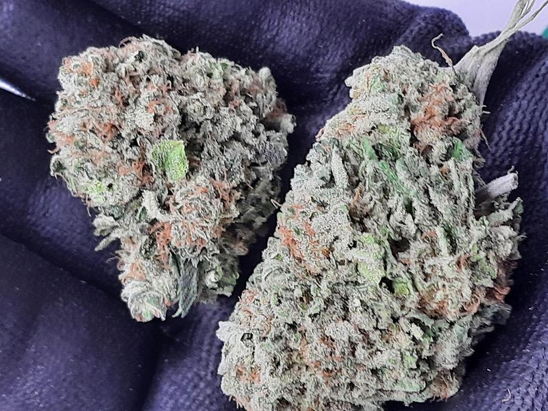 **GREEN GELATO - (FREE RM 1ST CLASS SHIPPING)**