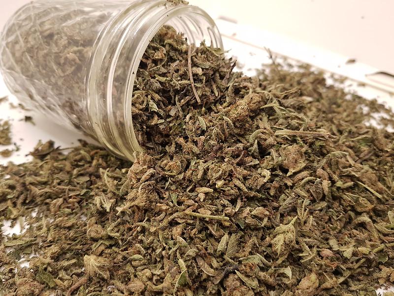 STARDAWG PREMIUM SUGAR SHAKE
