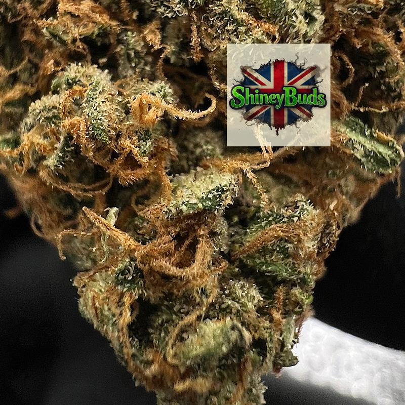 🇬🇧 Ztree