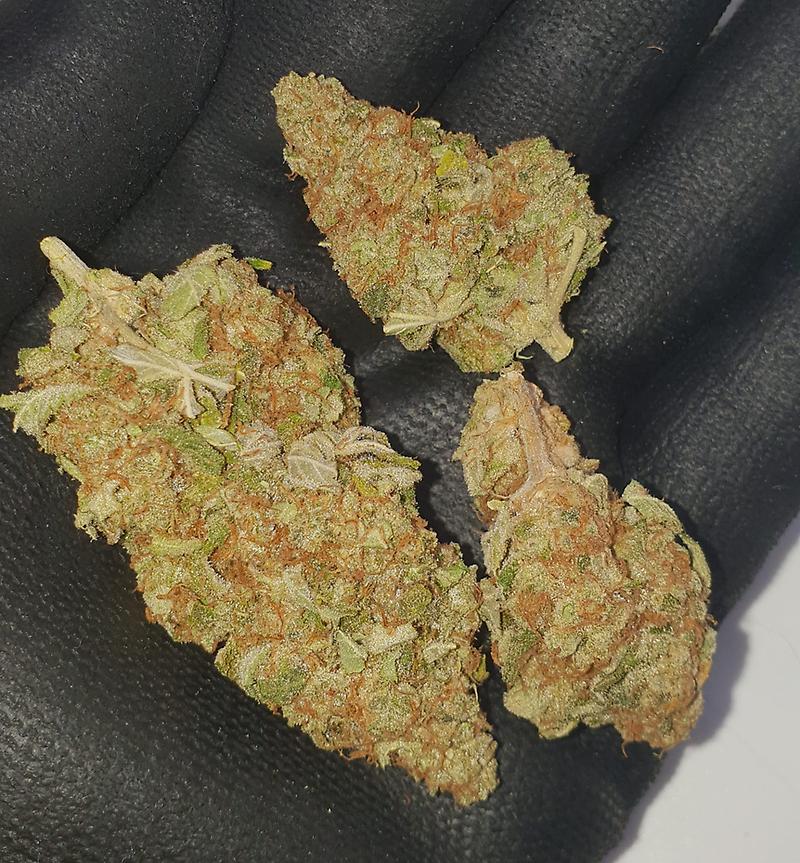 **SOUR TANGIE - FREE RM 1ST CLASS SHIPPING**
