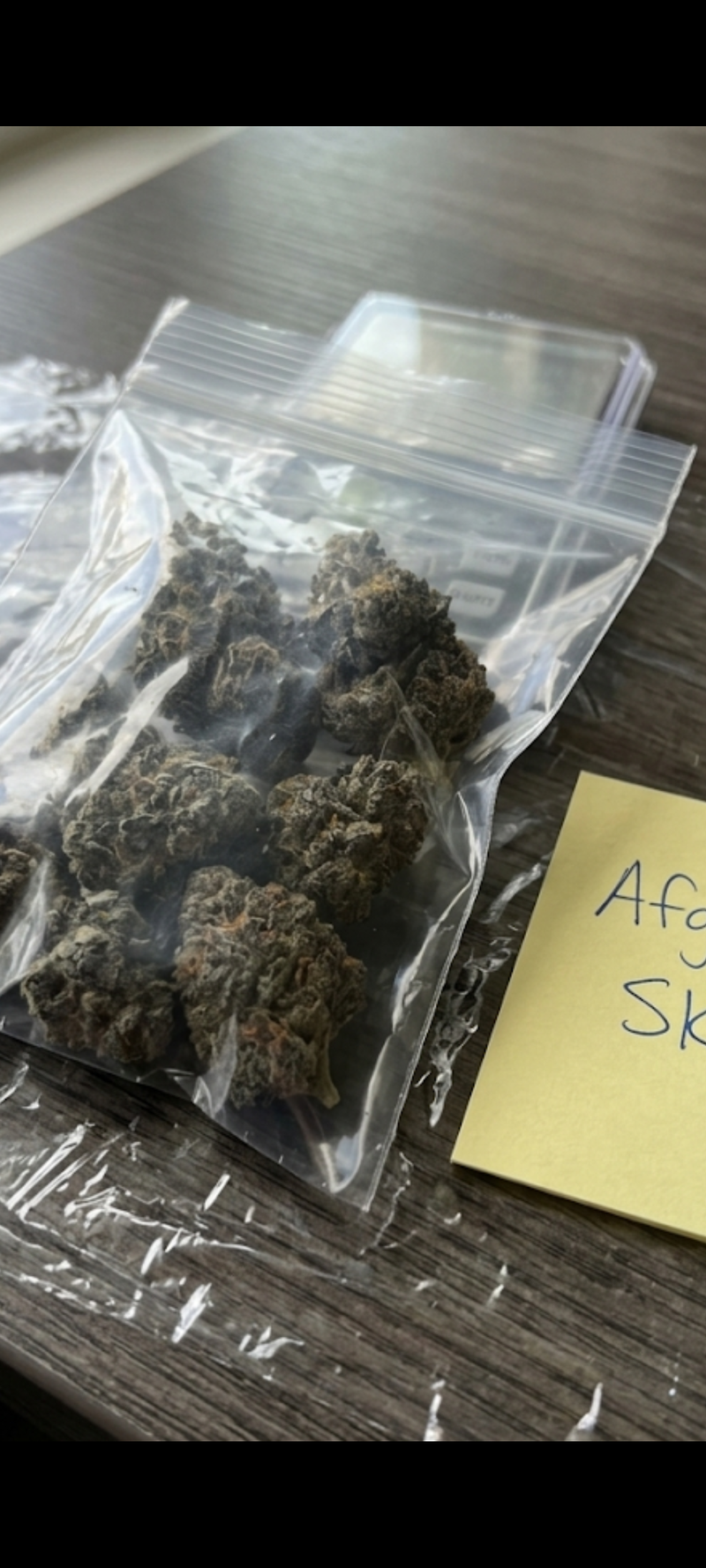 Afghan Skunk