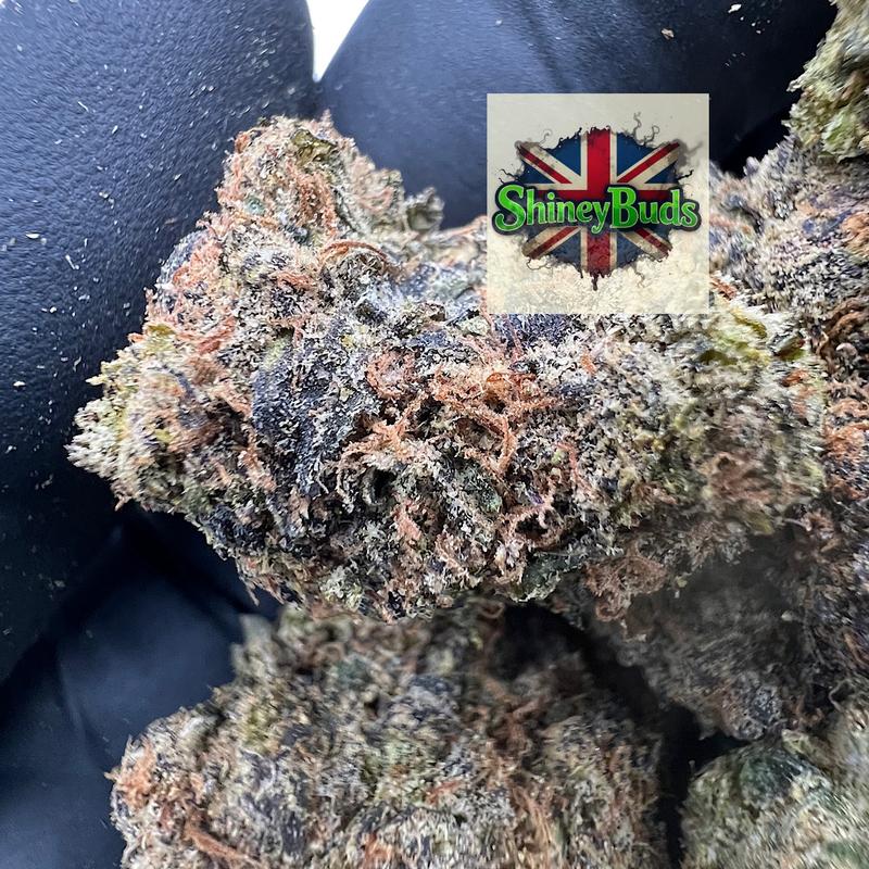 🇺🇸 Mob Candy