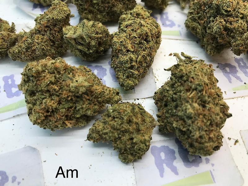 LEMON AMNESIA A+ DUTCH