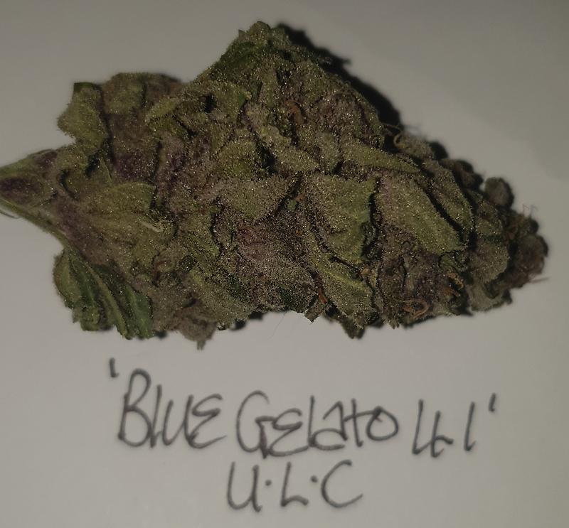 **2 STRAIN VARIETY PACK - (FREE RM 1ST CLASS) SC BG**