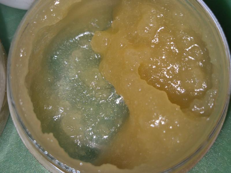 MEGA Z HASH ROSIN