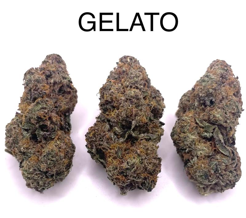 GELATO