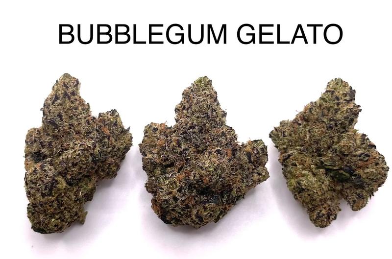 BUBBLEGUM GELATO