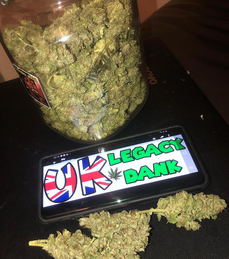 GORILLA