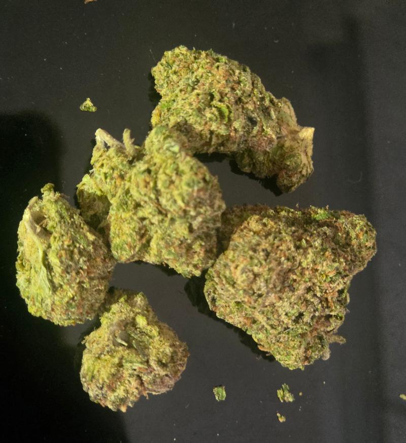 Mimosa Oz's