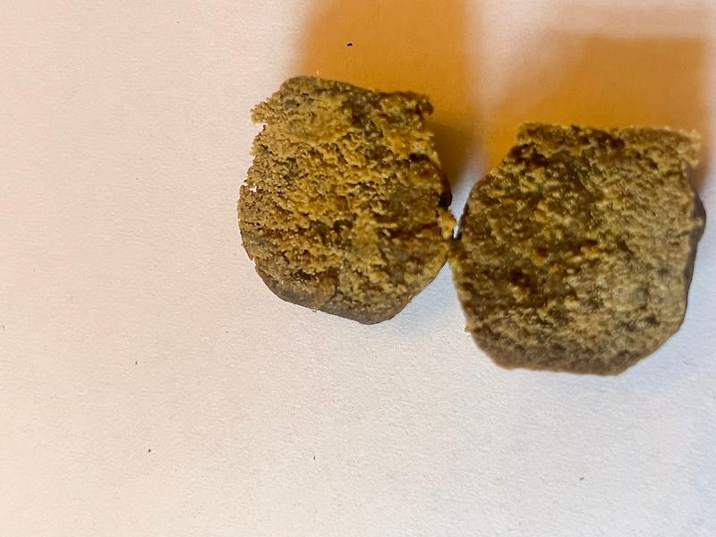 Forbidden Fruit Static Drysift Egg