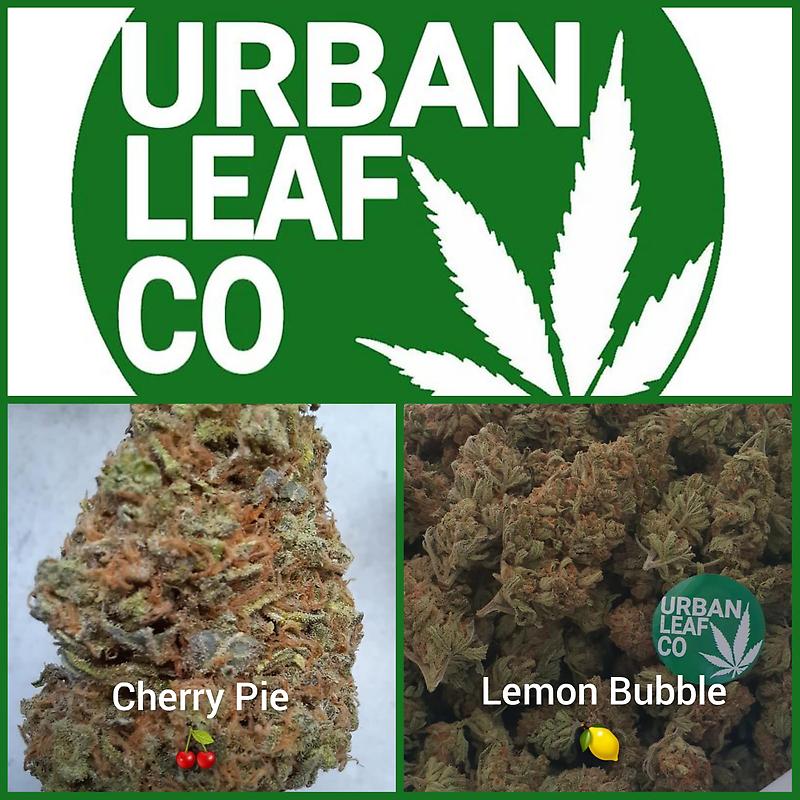 **INDICA/SATIVA VARIETY PACK (FREE RM 1ST CLASS POST)**