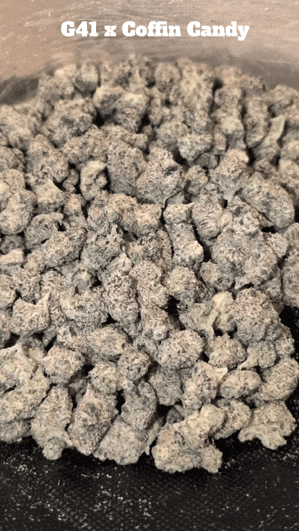 Top Shelf Exotics - Imported Loose Flower