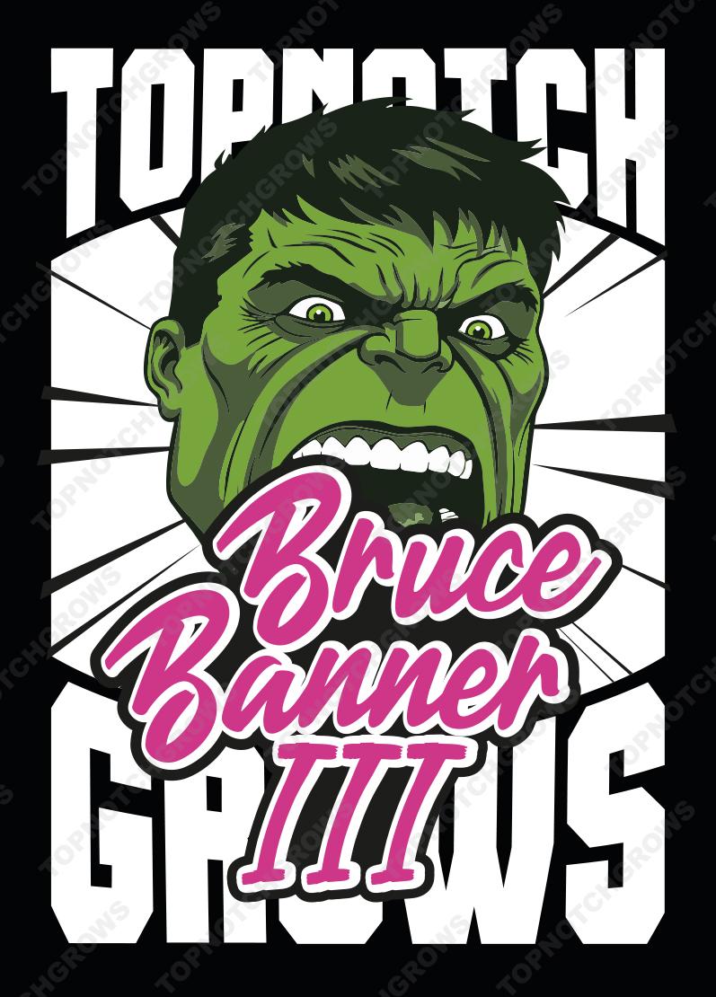 Bruce Banner III