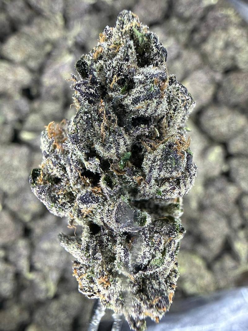 Sample Pack - Cali Top Shelf